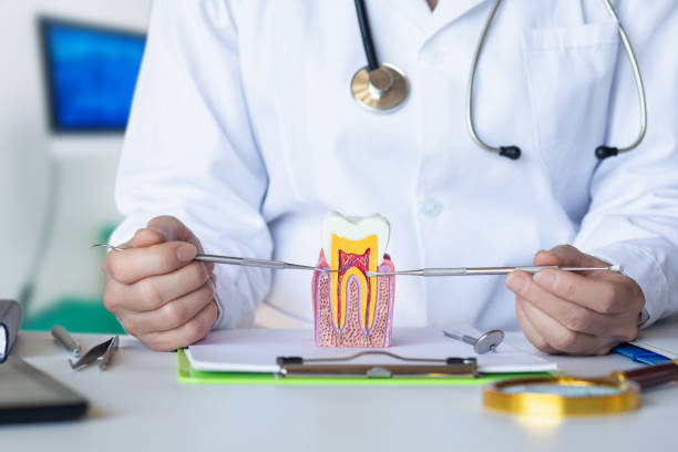 Best Mobile Emergency Dentist in Columbia, KY